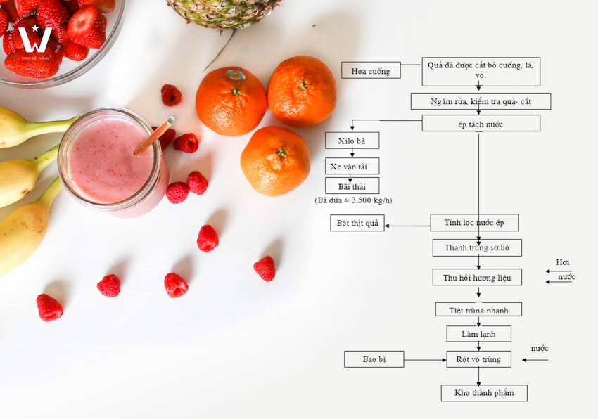 Quy trình sản xuất nước ép trái cây squash cơ bản (Nguồn: Internet)