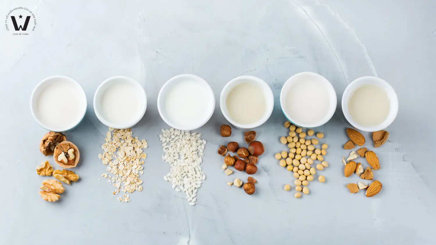 Sữa hạt được dùng thay thế cho sữa động vật