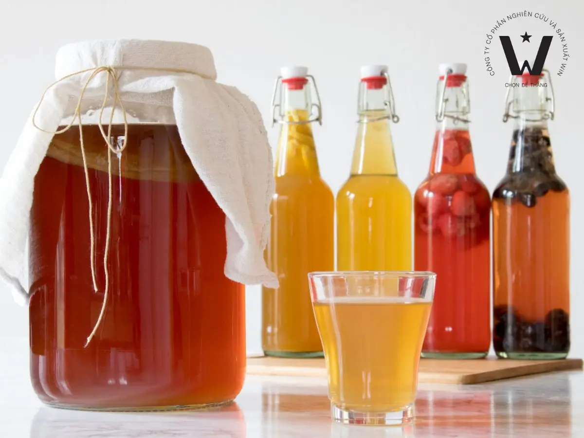 Kombucha được tạo ra từ quá trình lên men trà