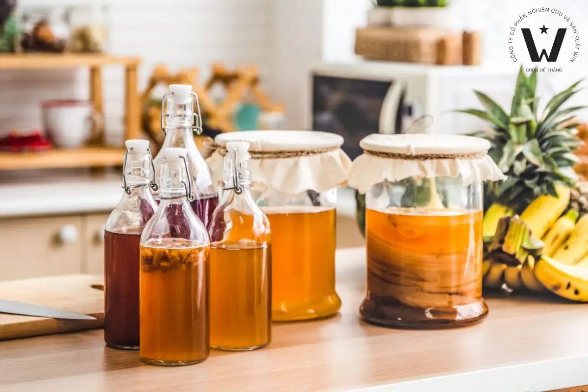 Nhiều doanh nghiệp thử nghiệm trà kombucha