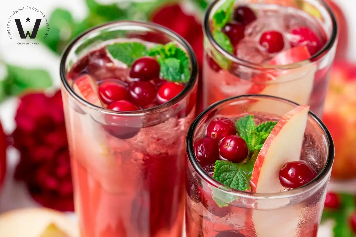 Chuyển giao công thức sản xuất nước ép trái cây vị nam việt quất