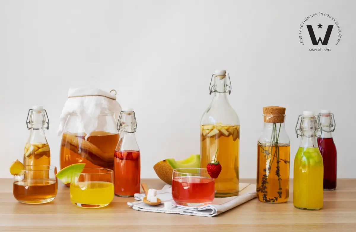 4 hợp chất tạo nên sự khác biệt trong quy trình sản xuất kombucha