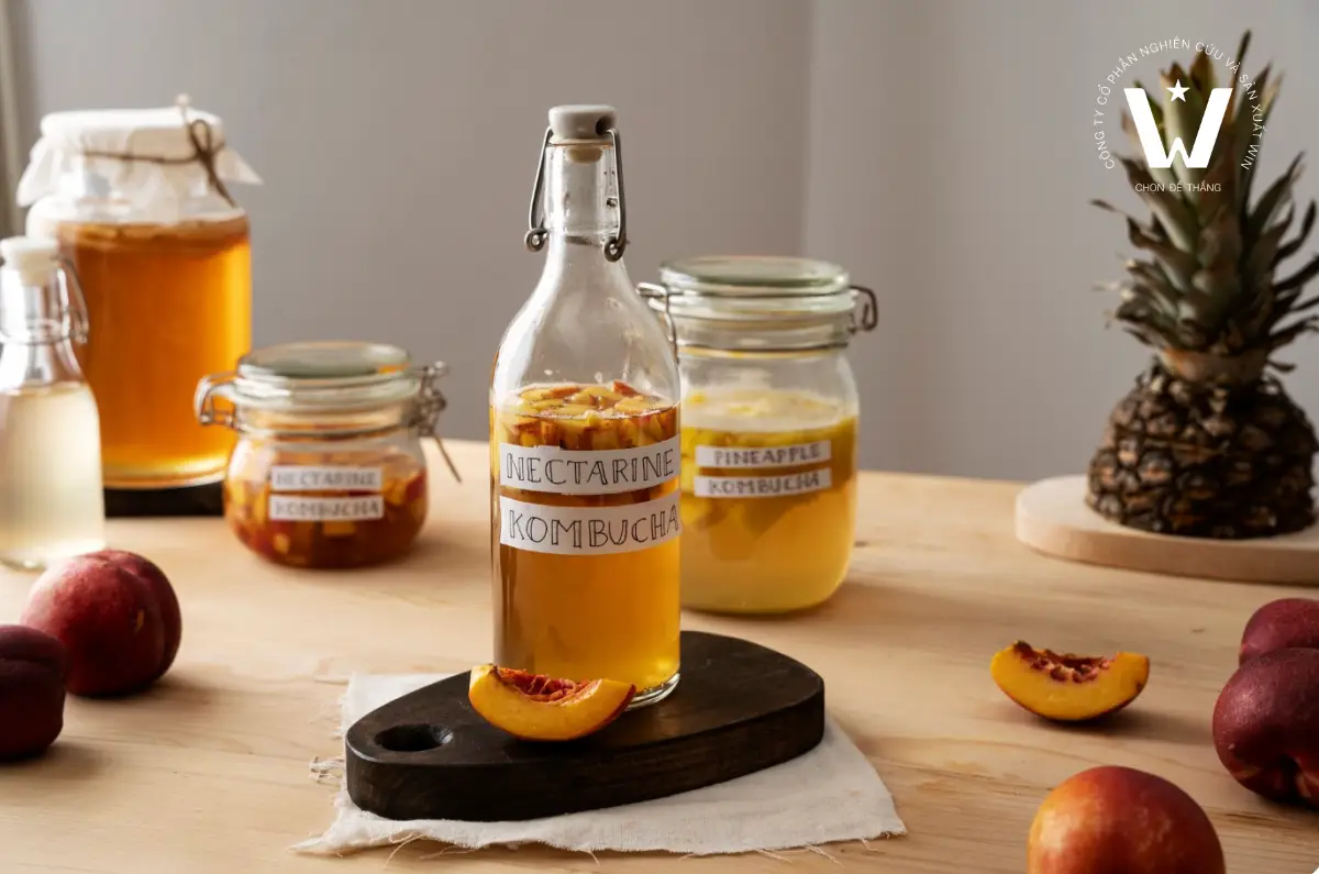 Kombucha là sản phẩm đầy tiềm năng tại khu vực Châu Á - Thái Bình Dương