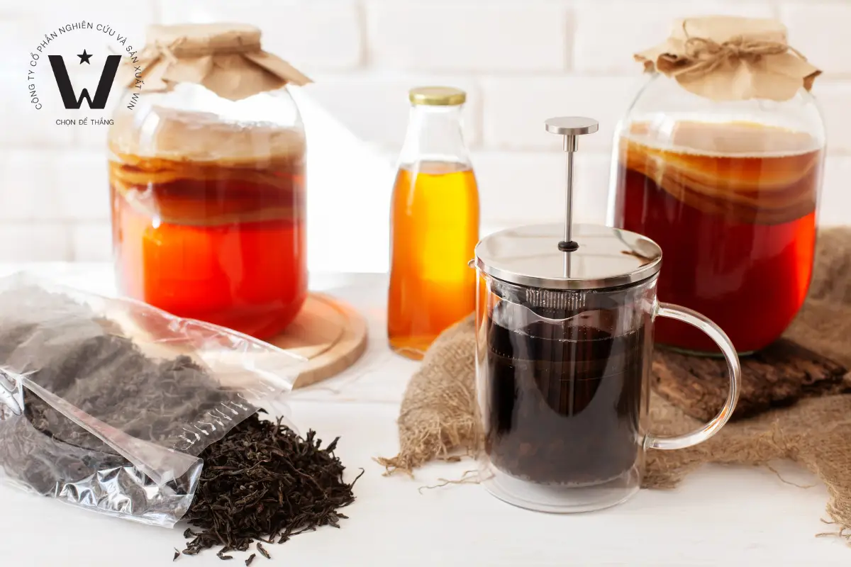 Hợp chất trong trà chuyển hóa sinh học trong quy trình sản xuất kombucha