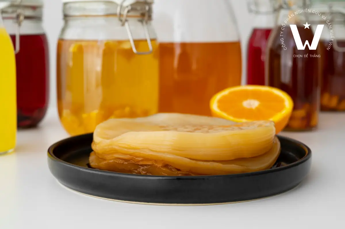 Lớp màng SCOBY hình thành trong quy trình sản xuất kombucha