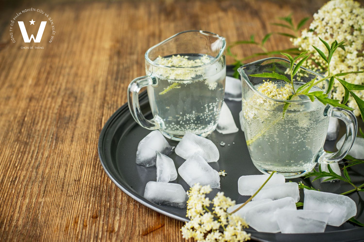 Hoa cơm cháy (elderflower) được đánh giá cao nhờ vị thanh mát