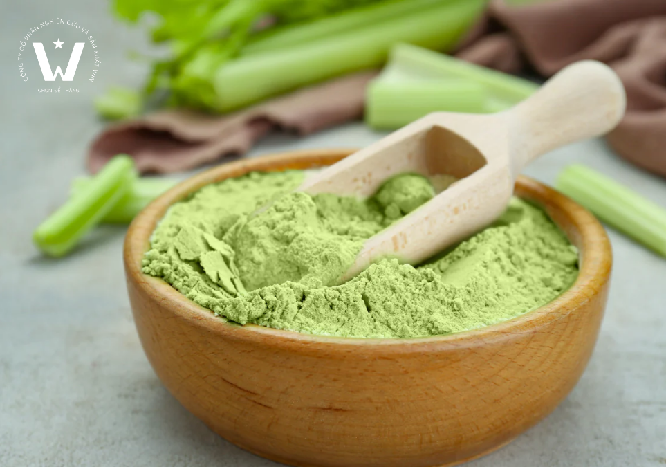 Chuẩn hoá quy trình sản xuất bột cần tây 2026