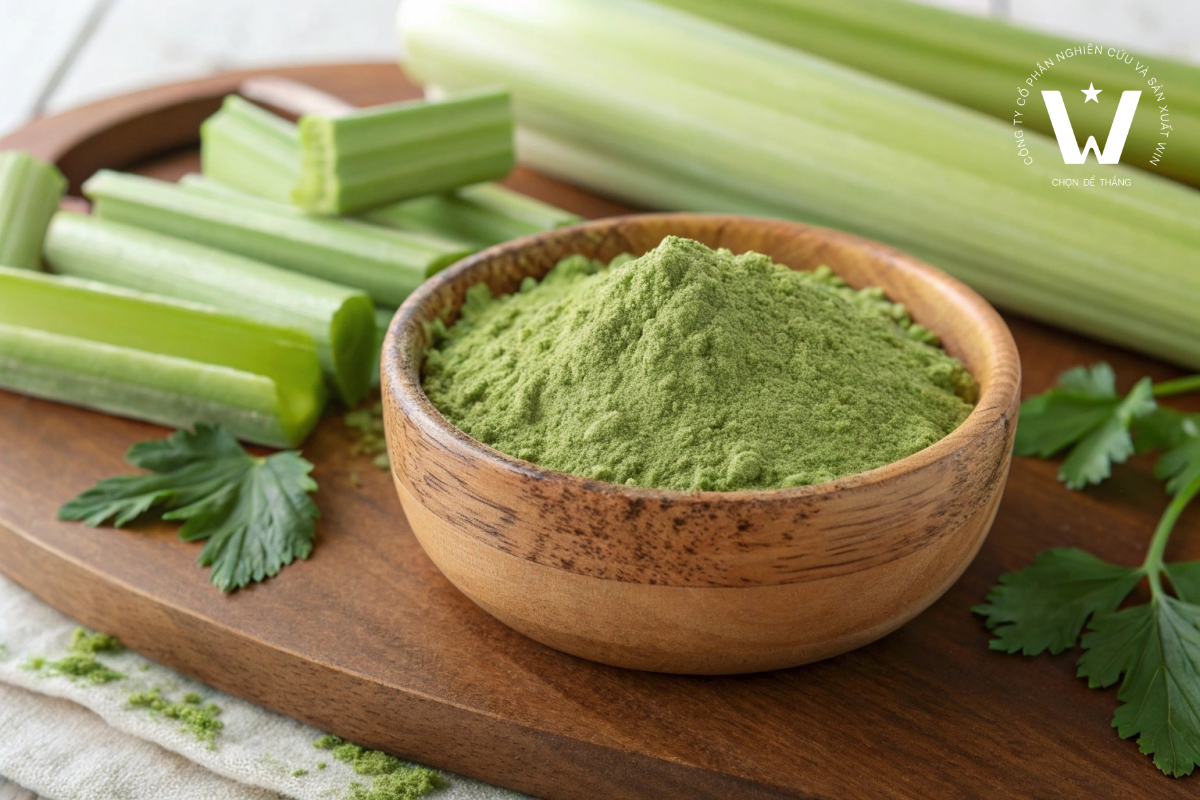 Sấy khô là công đoạn quyết định lớn đến chất lượng bột cần tây