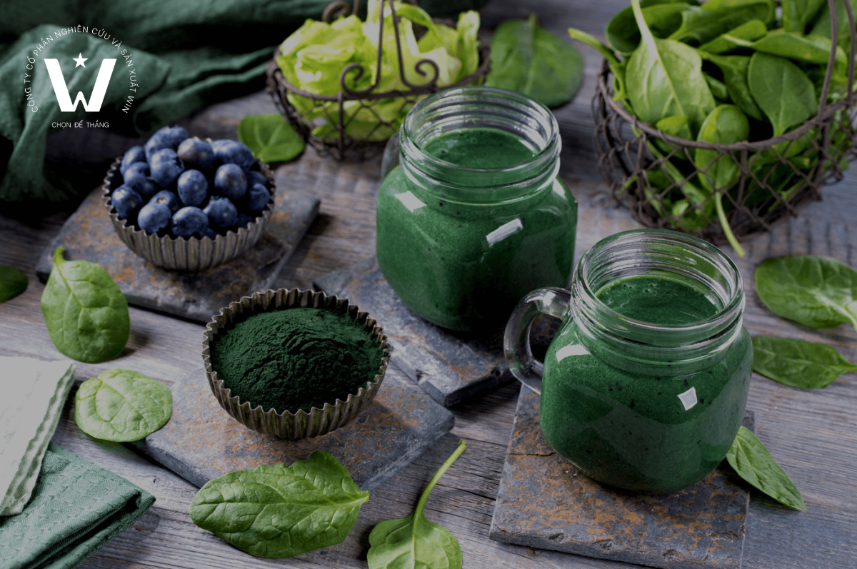 Chất tạo màu tự nhiên mang nhiều hợp chất có hoạt tính sinh học có lợi