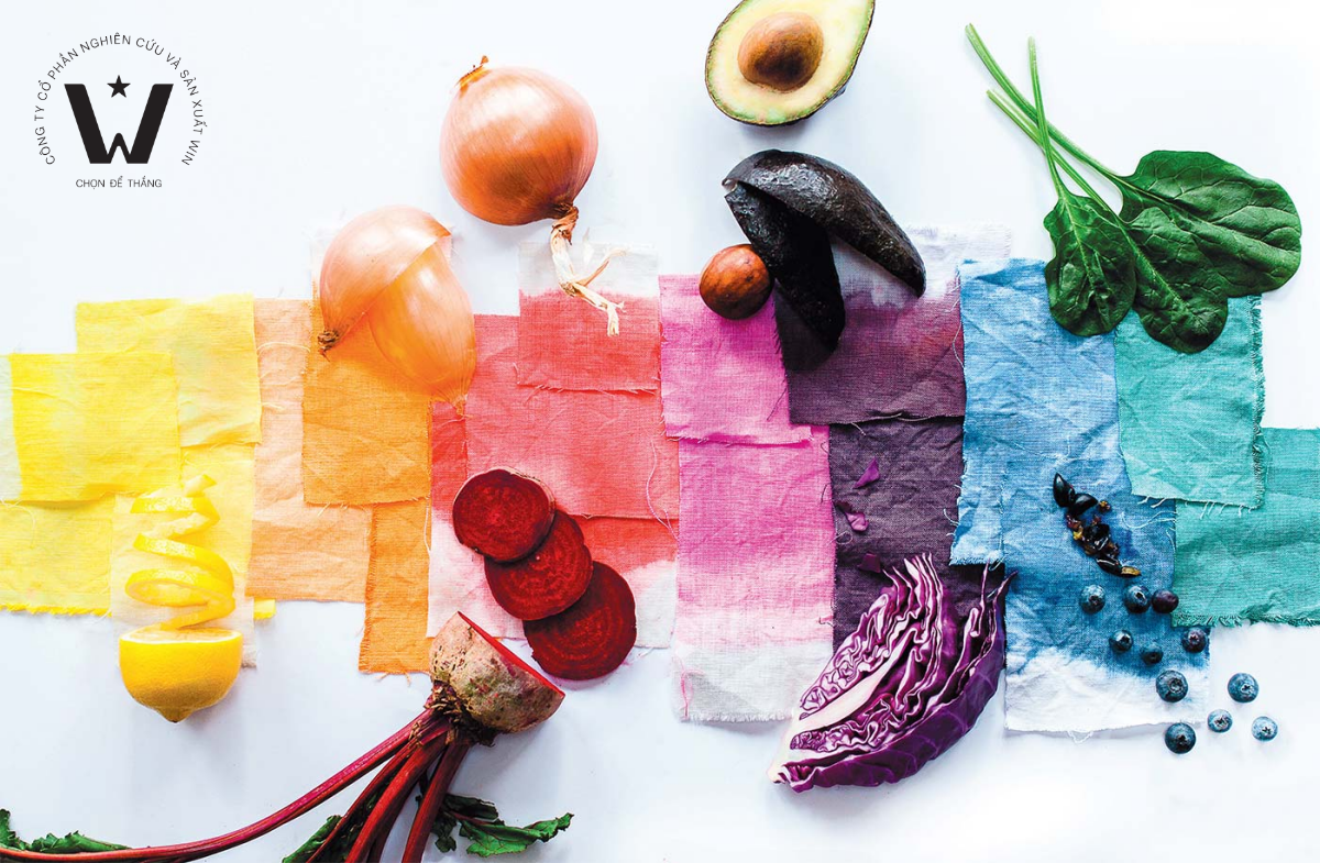 Công nghệ gia công nhiệt hiện đại có thể cải thiện độ đậm màu và độ sáng của dịch chiết