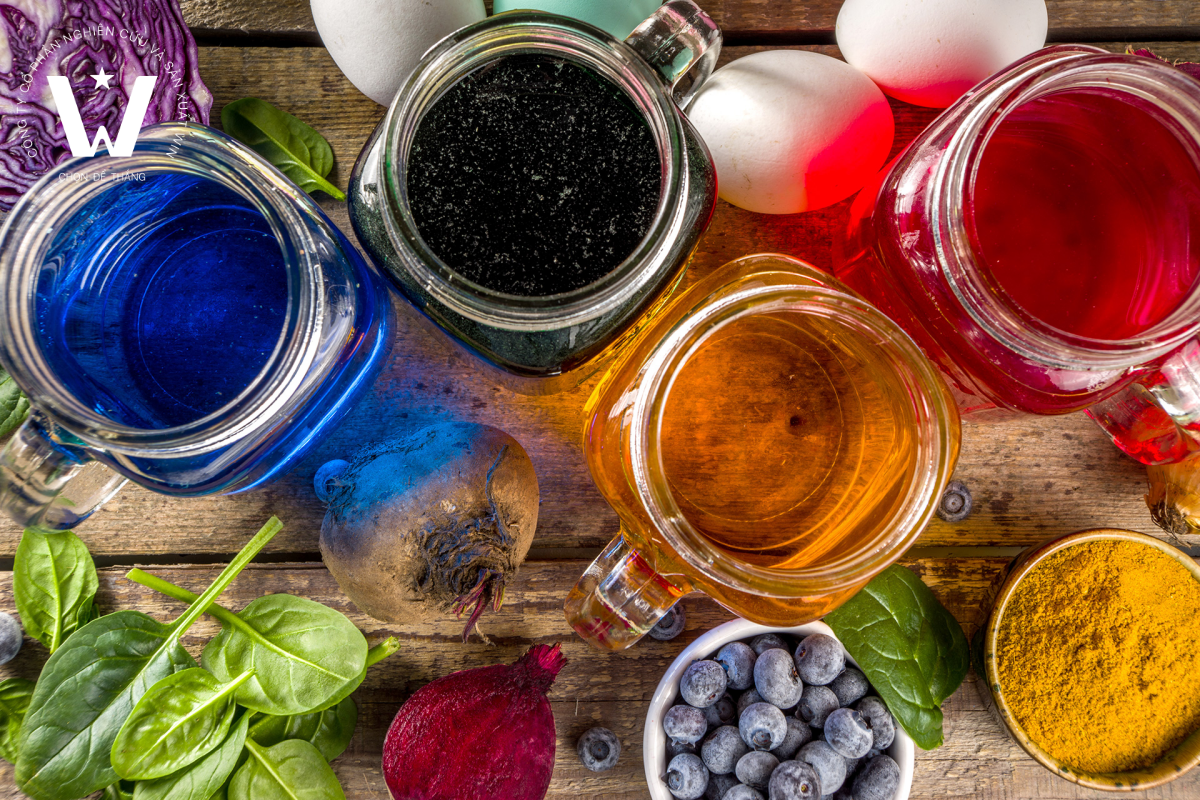 Giải pháp chiết xuất chất tạo màu tự nhiên từ WIN R&D